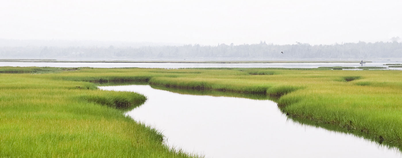 Research at the Academy of Natural Sciences